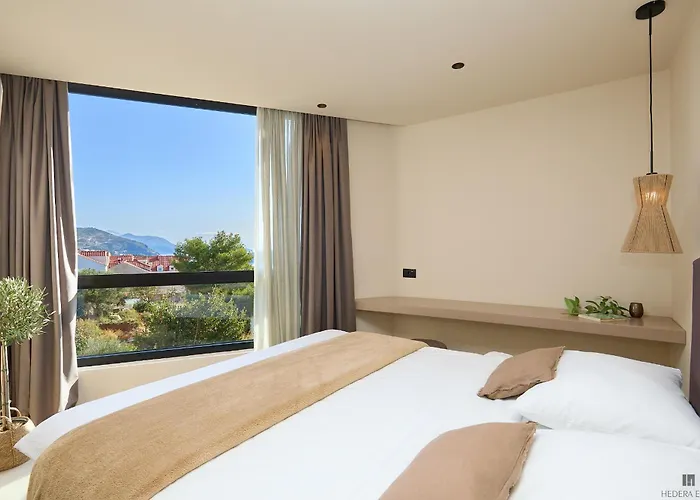 Hedera Estate Hedera Xx *